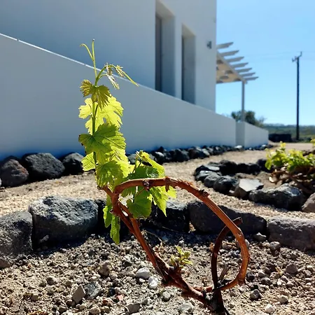 Willa Melivoia House Collection - Private Jacuzzi