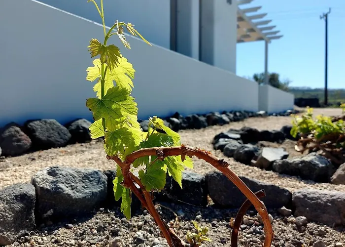 Villa Melivoia House Collection - Private Jacuzzi